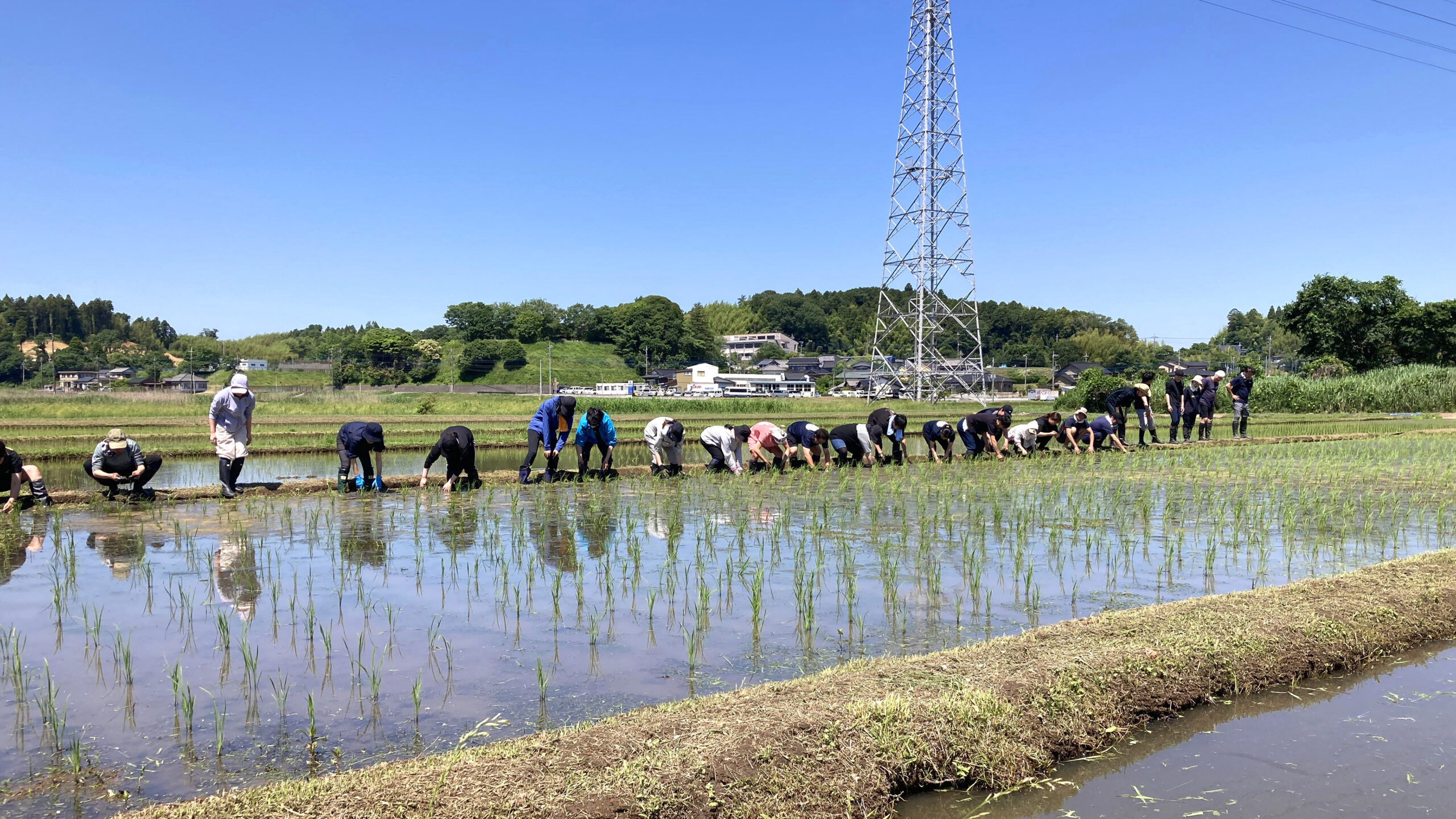 今年最初の除草の日 ～田んぼ一枚の大自然～ | NEWS | 榮太樓總本鋪 