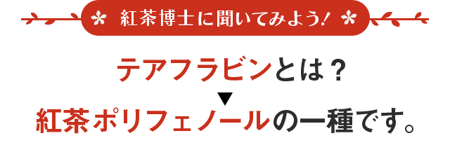 テアフラビンとは？ 紅茶ポリフェノールの一種です。