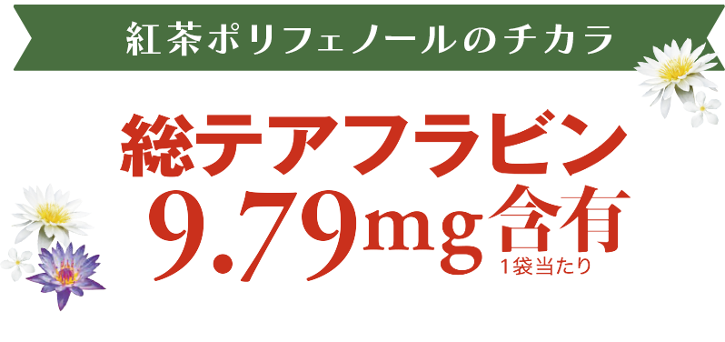 紅茶のチカラ　総テアフラビン10.32mg含有