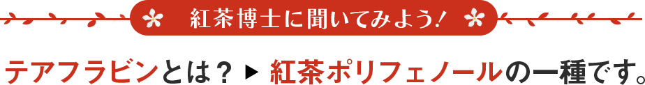 テアフラビンとは？ 紅茶ポリフェノールの一種です。