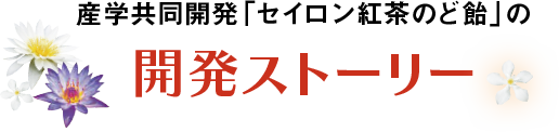 開発ストーリー